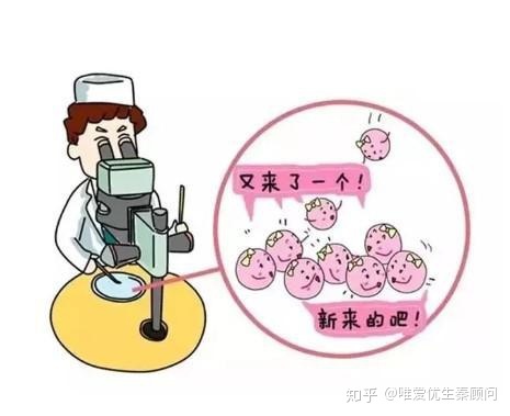 卧床休息后如何控制血糖：供卵试管婴儿后怎么做才能保住孩子？