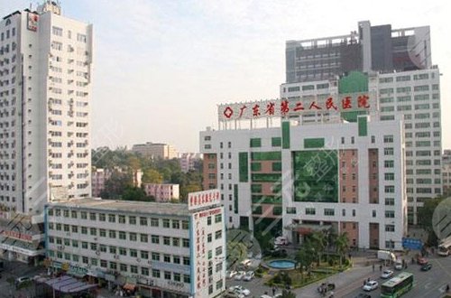 做借卵试管婴儿可以有两个父亲吗-有两个孩子还可以做借卵试管婴儿吗？