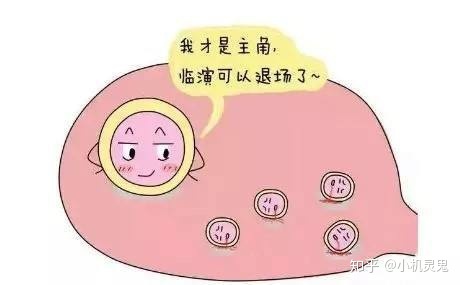 北京大学深圳医院分享的赠卵供卵自怀试管费用明细，2023年三代供卵价格表