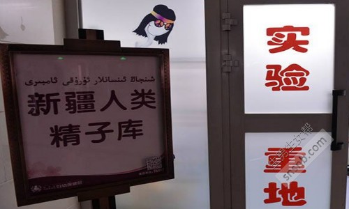 做试管婴儿的程序是什么