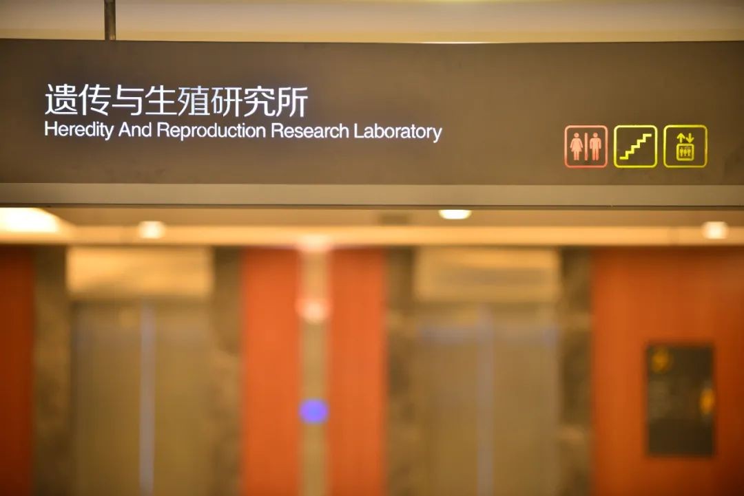 取卵后多久能移植+取卵后多久可以移植
