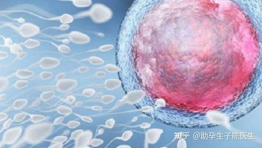 为什么说,年龄是影响女性做甘肃试管代怀是不是犯法成功率的最大阻碍